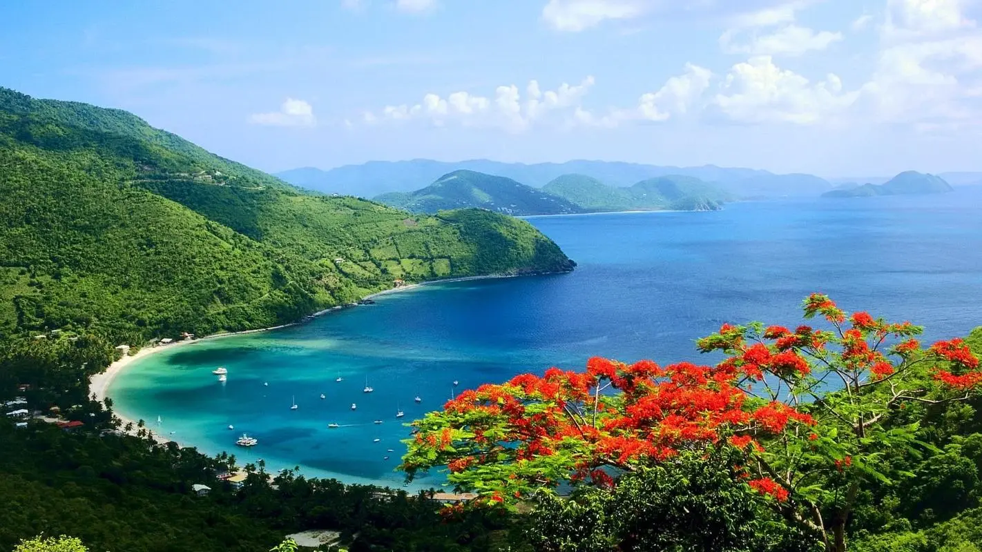 可靠性高精度